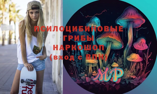 ПСИЛОЦИБИНОВЫЕ ГРИБЫ Белокуриха