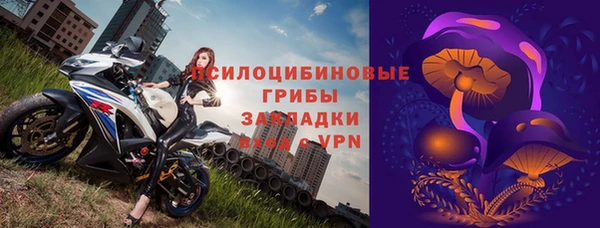 ПСИЛОЦИБИНОВЫЕ ГРИБЫ Белокуриха