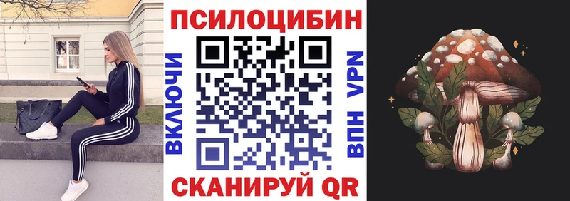 Галлюциногенные грибы Psilocybine cubensis  Качканар 